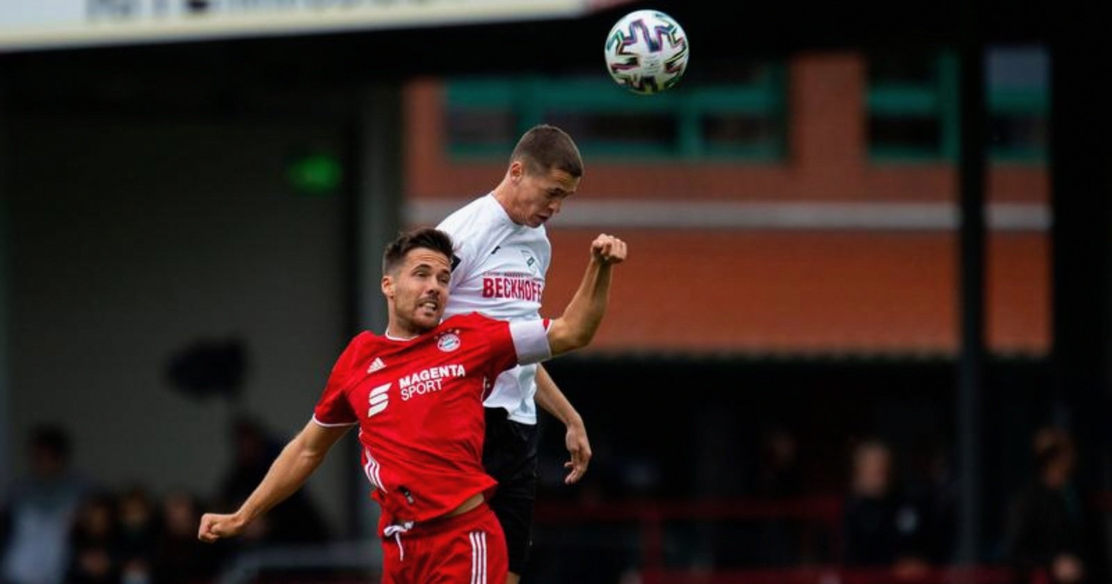 开云体育在线入口-功德林1一7次特赦名单详细