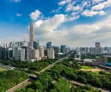 开云体育网站-会议取消通知模板